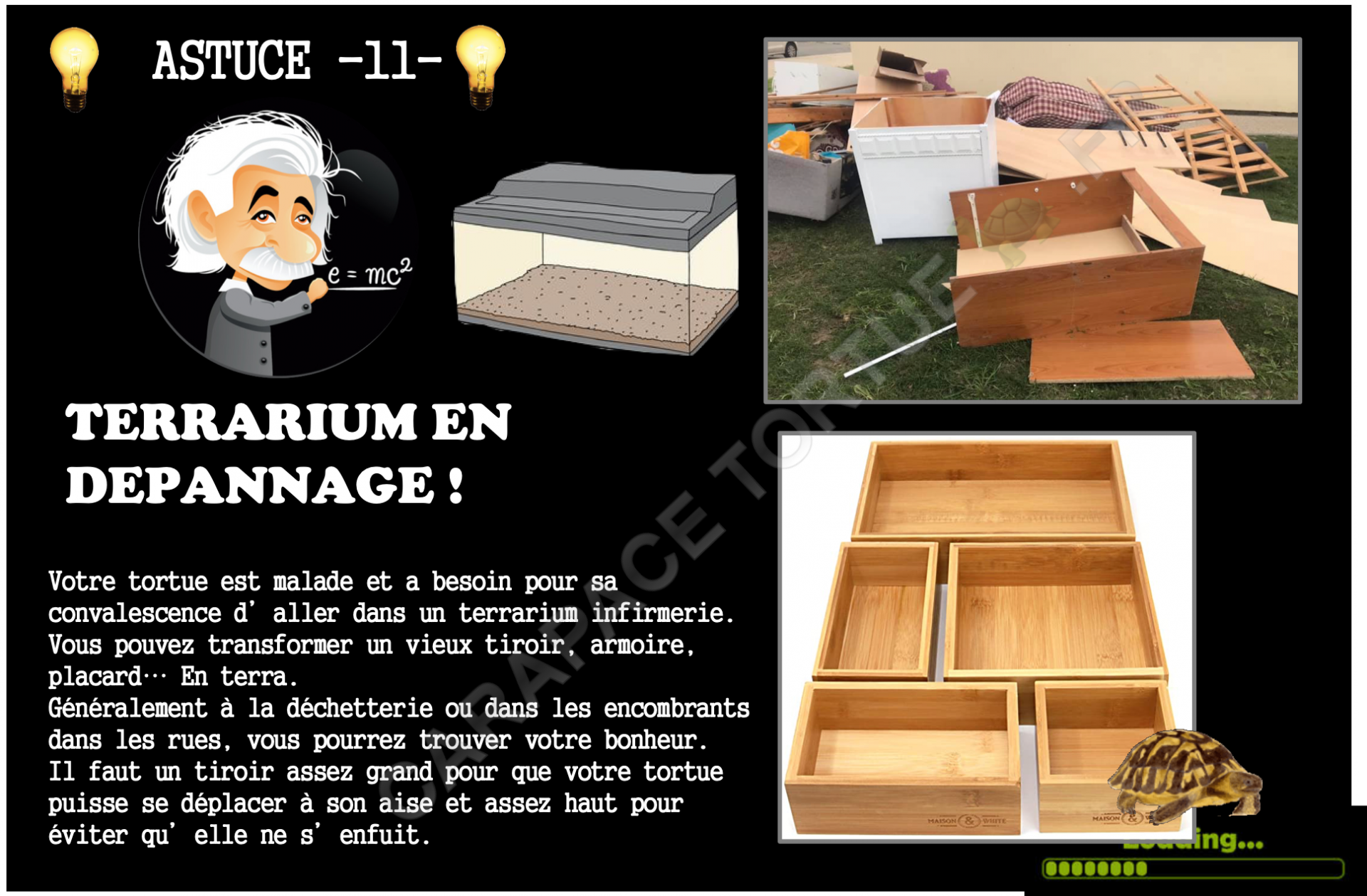 Astuce 11