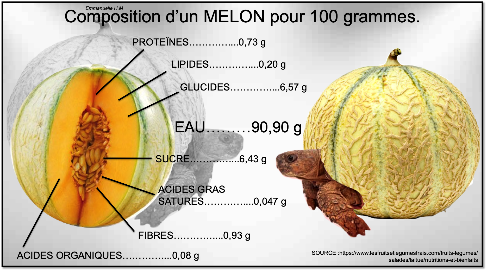 Melon