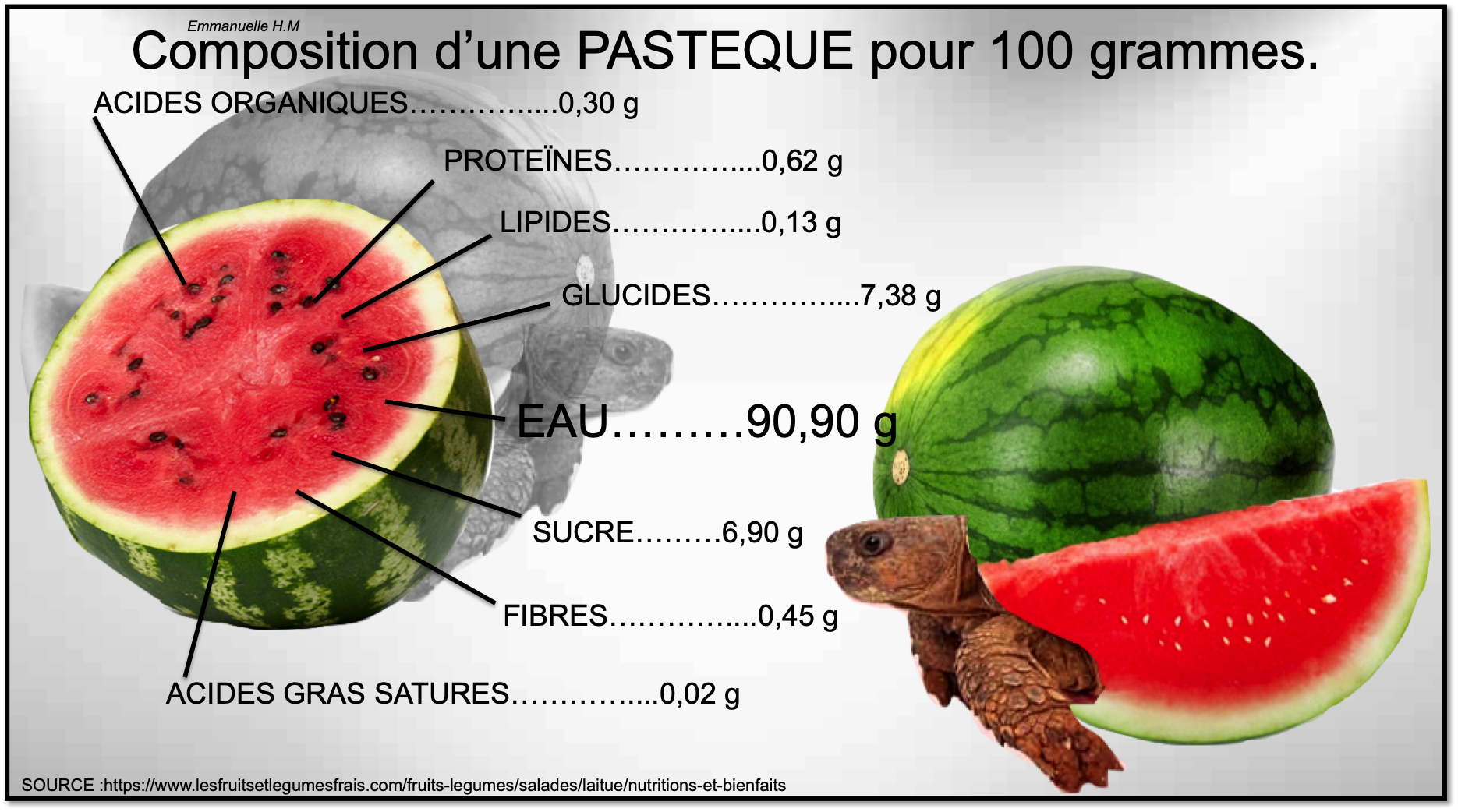 Pasteque 1