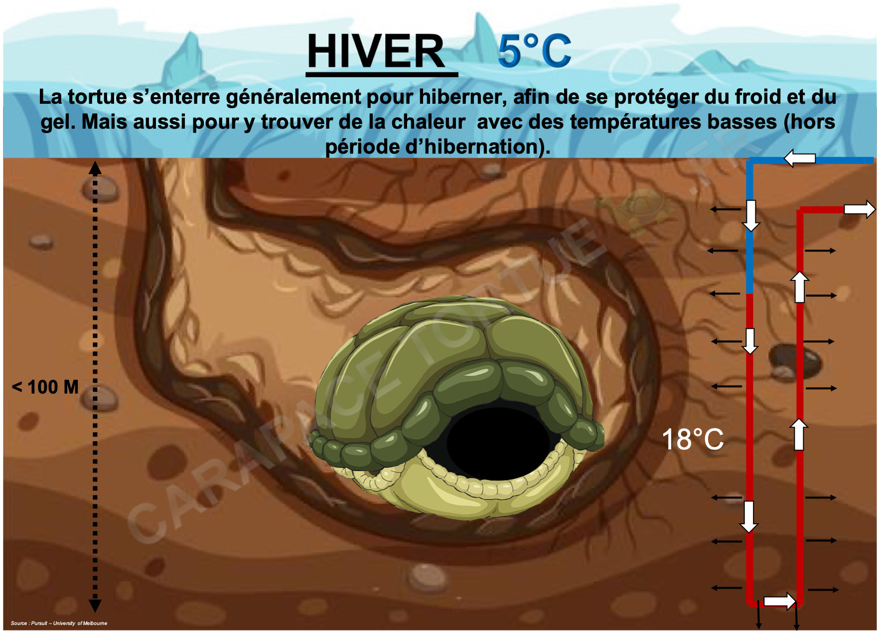 Temperature sous terre hiver