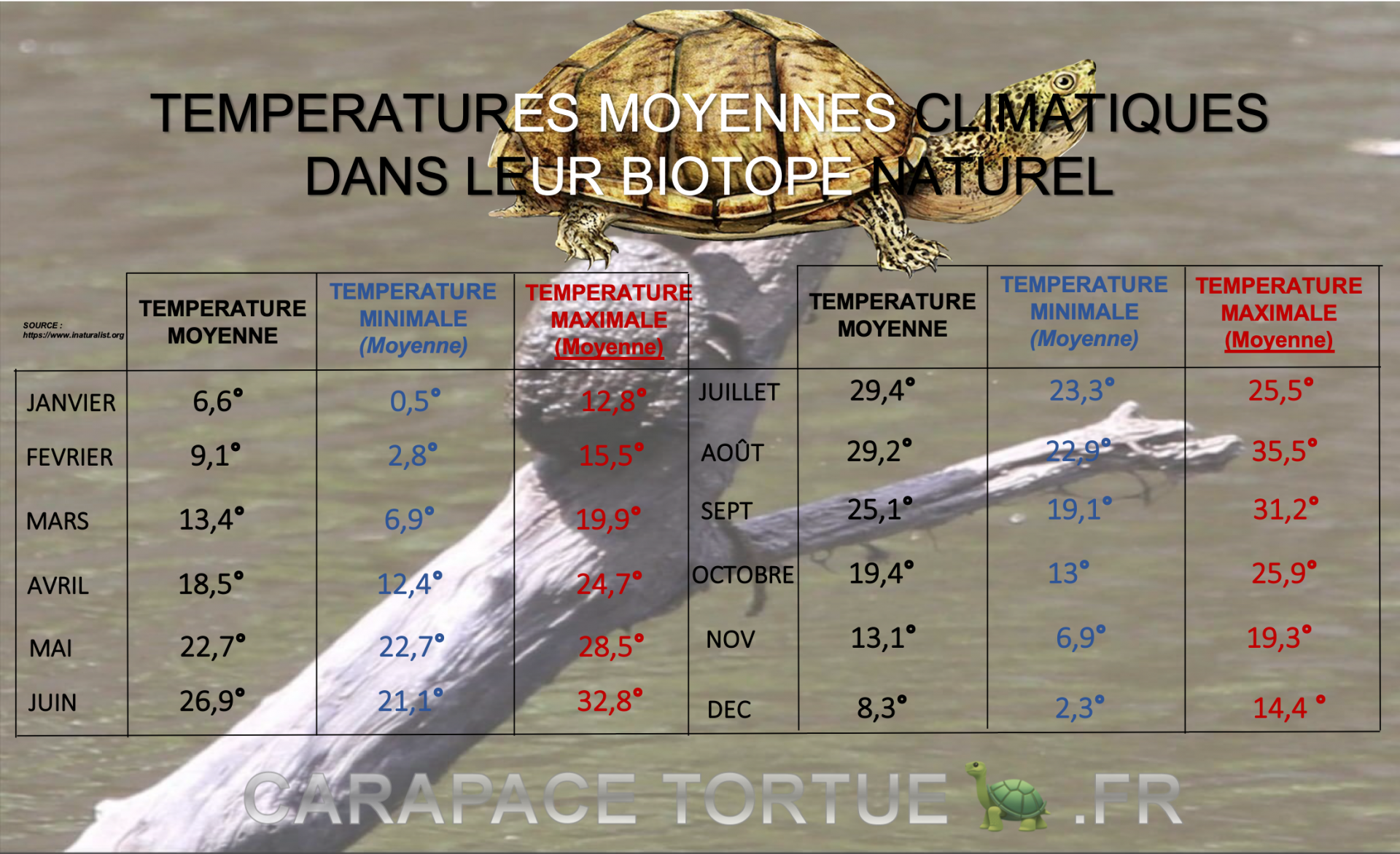 Temperatures climatiques biotopes sternotherus