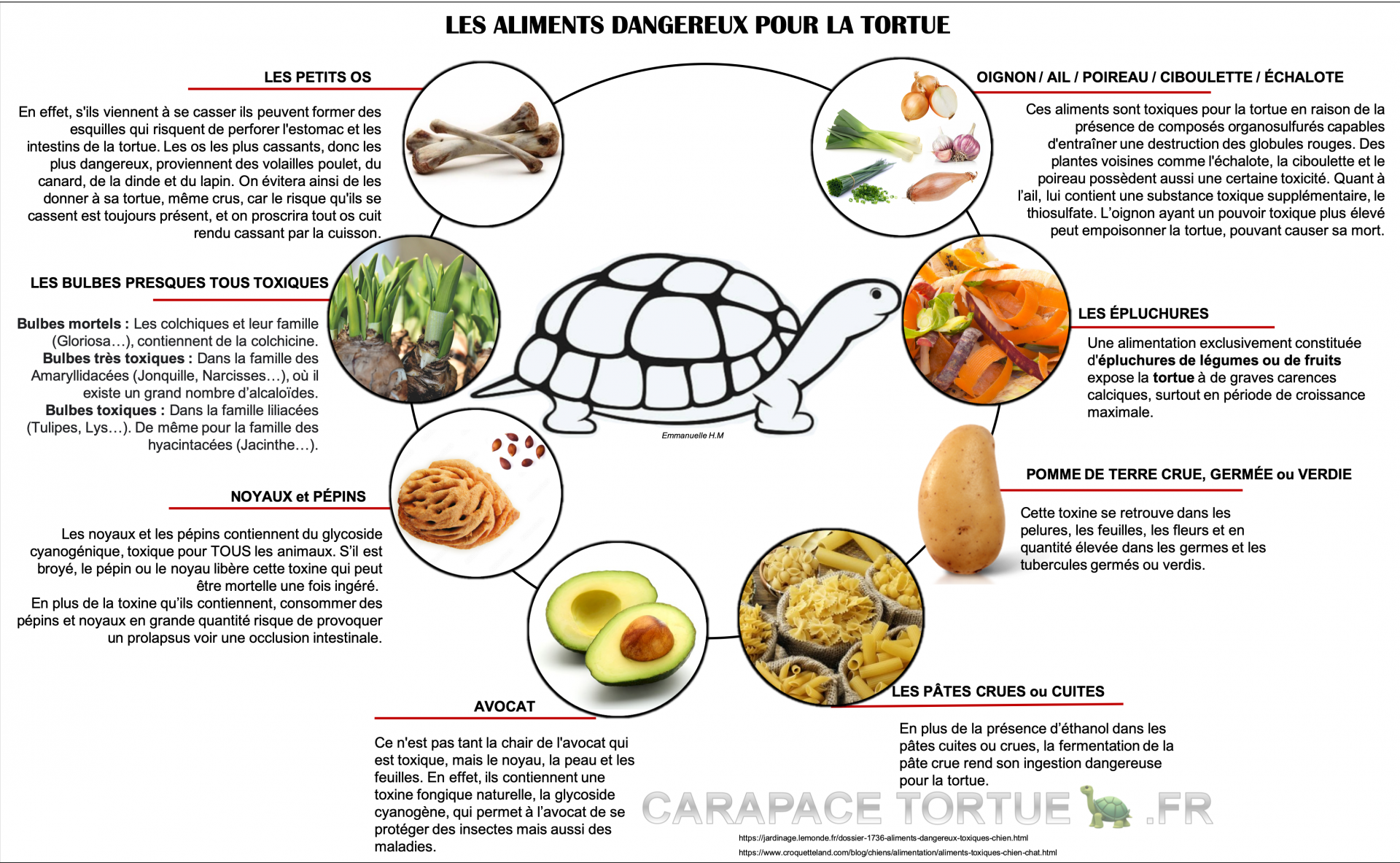 Aliments dangereux pour les tortutes