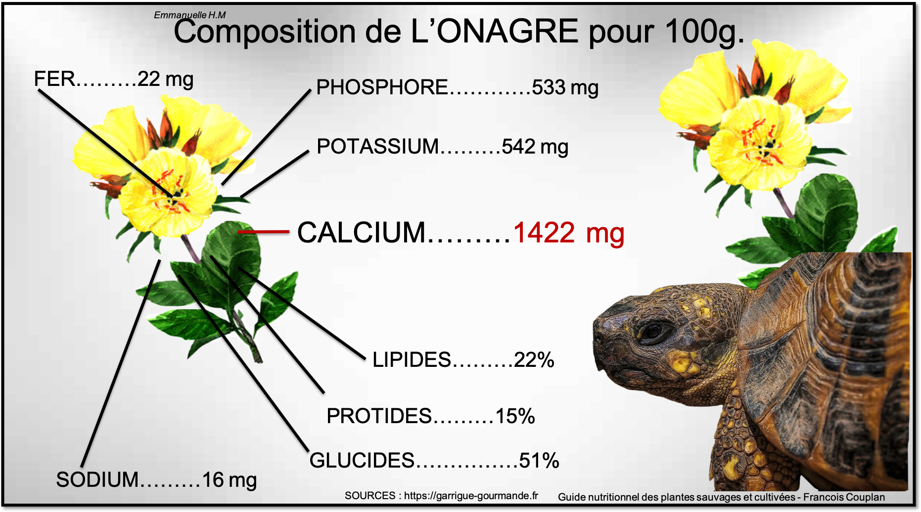 Calcium onagre