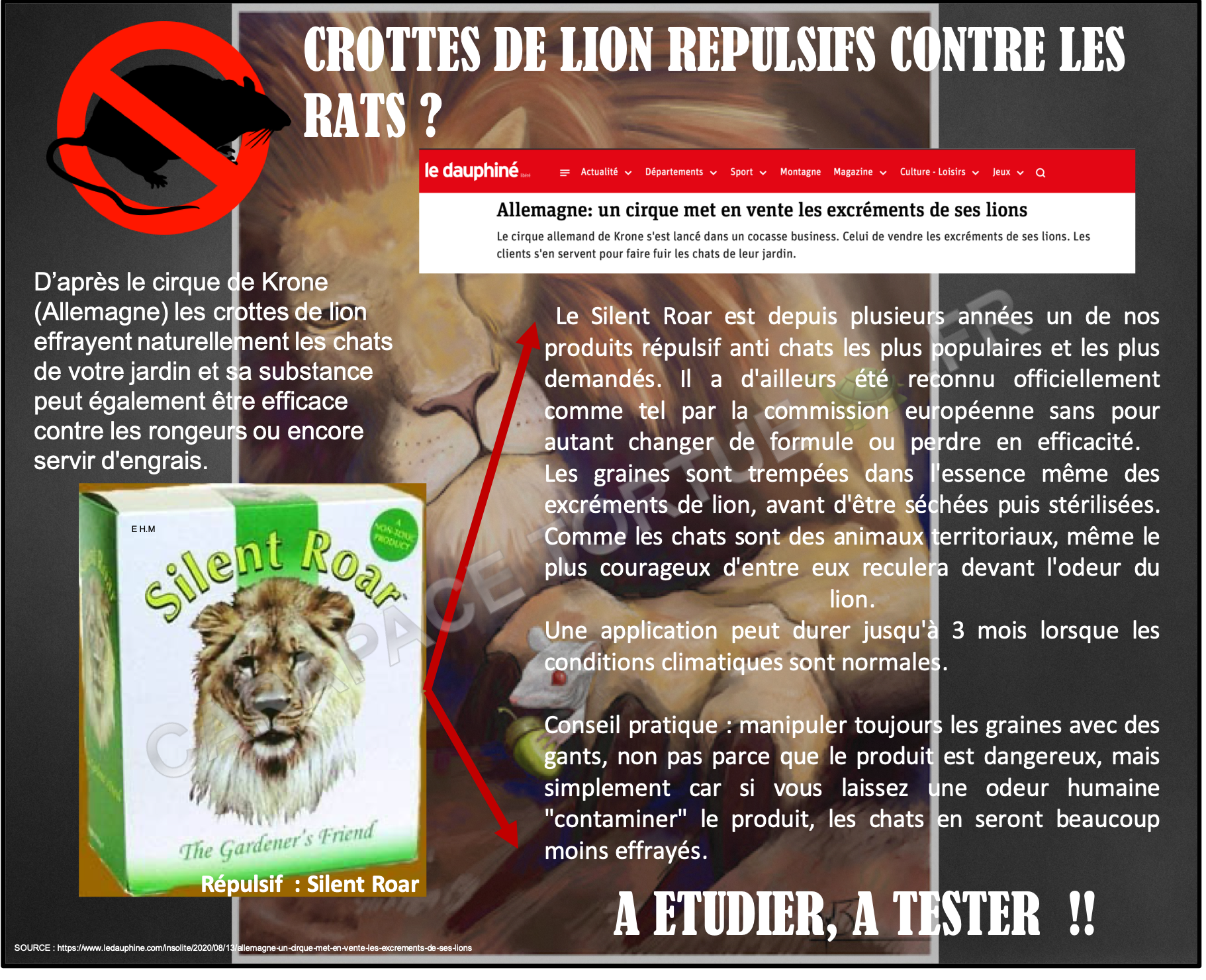 Crottes de lion