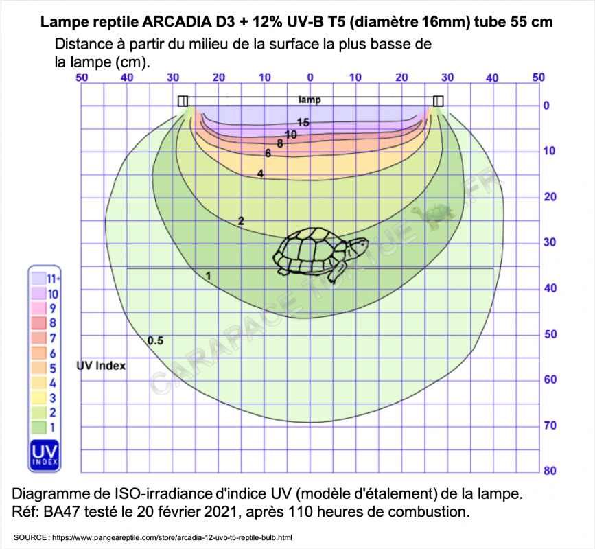 Diagramme neaon arcadia