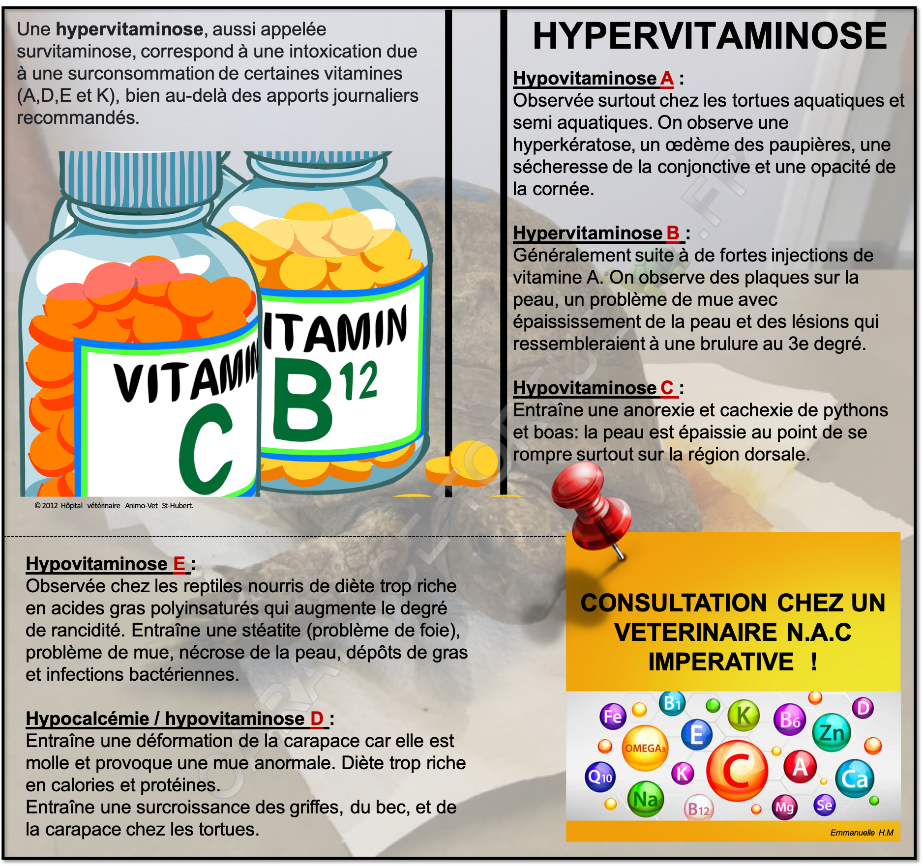 Hypervitaminose