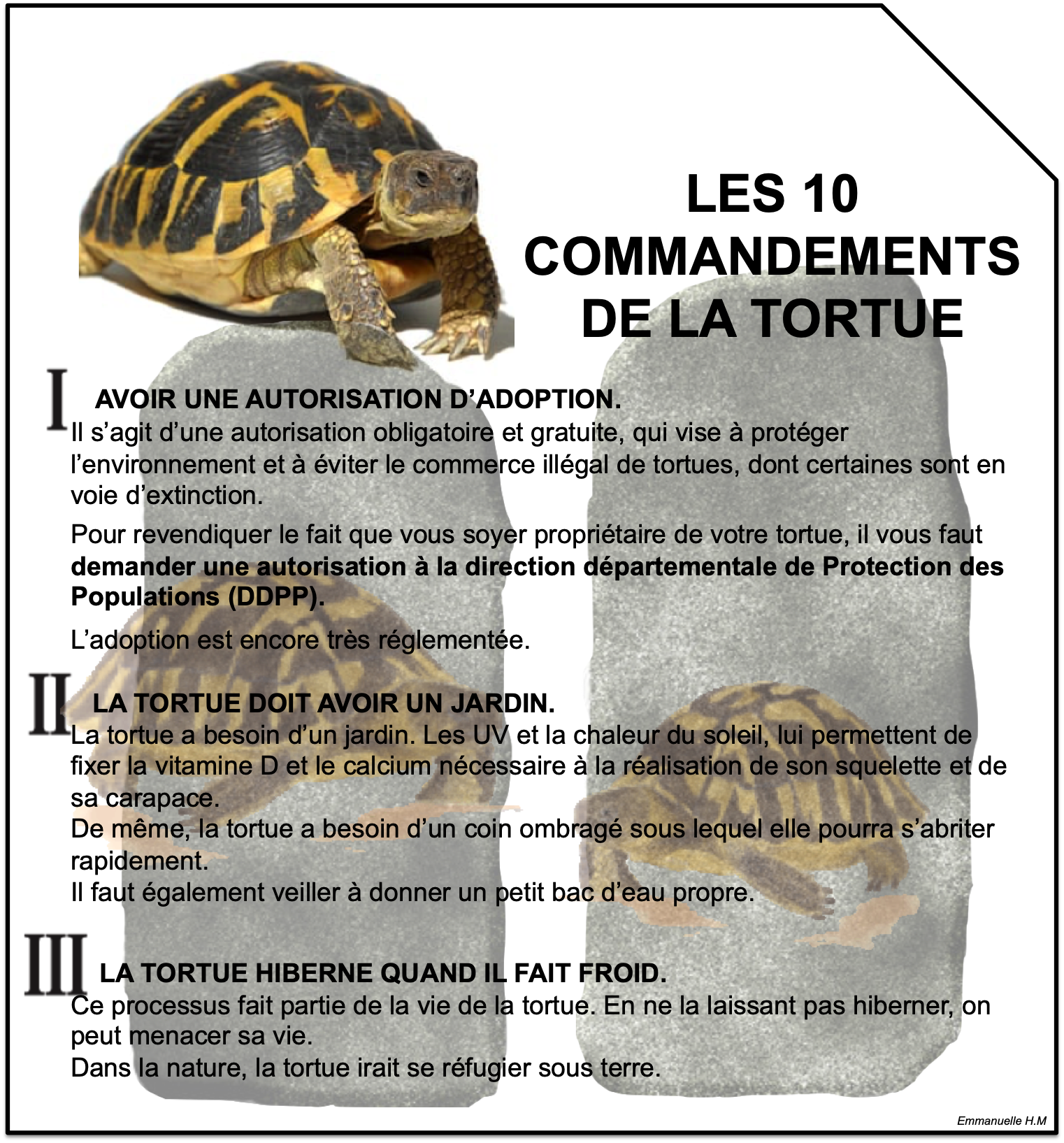 Les 10 commandements 1