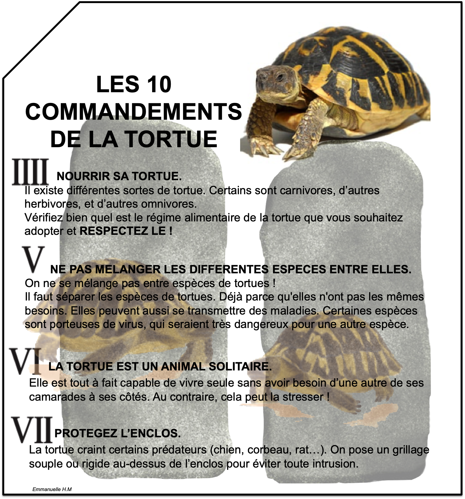 Les 10 commandements 2