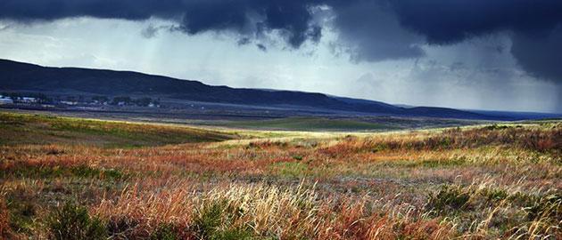 Paysage steppe 3
