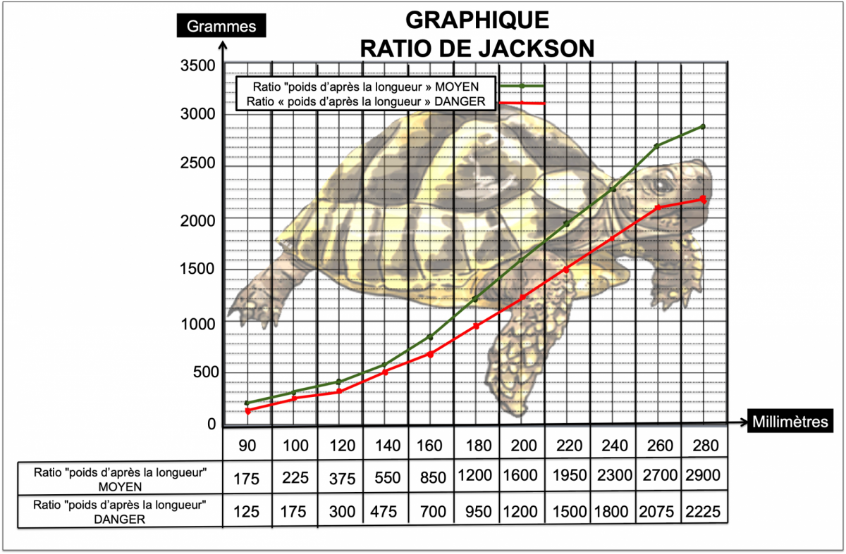 Tableau aliments  Tortue hermann, Tortue terrestre, Enclos tortue