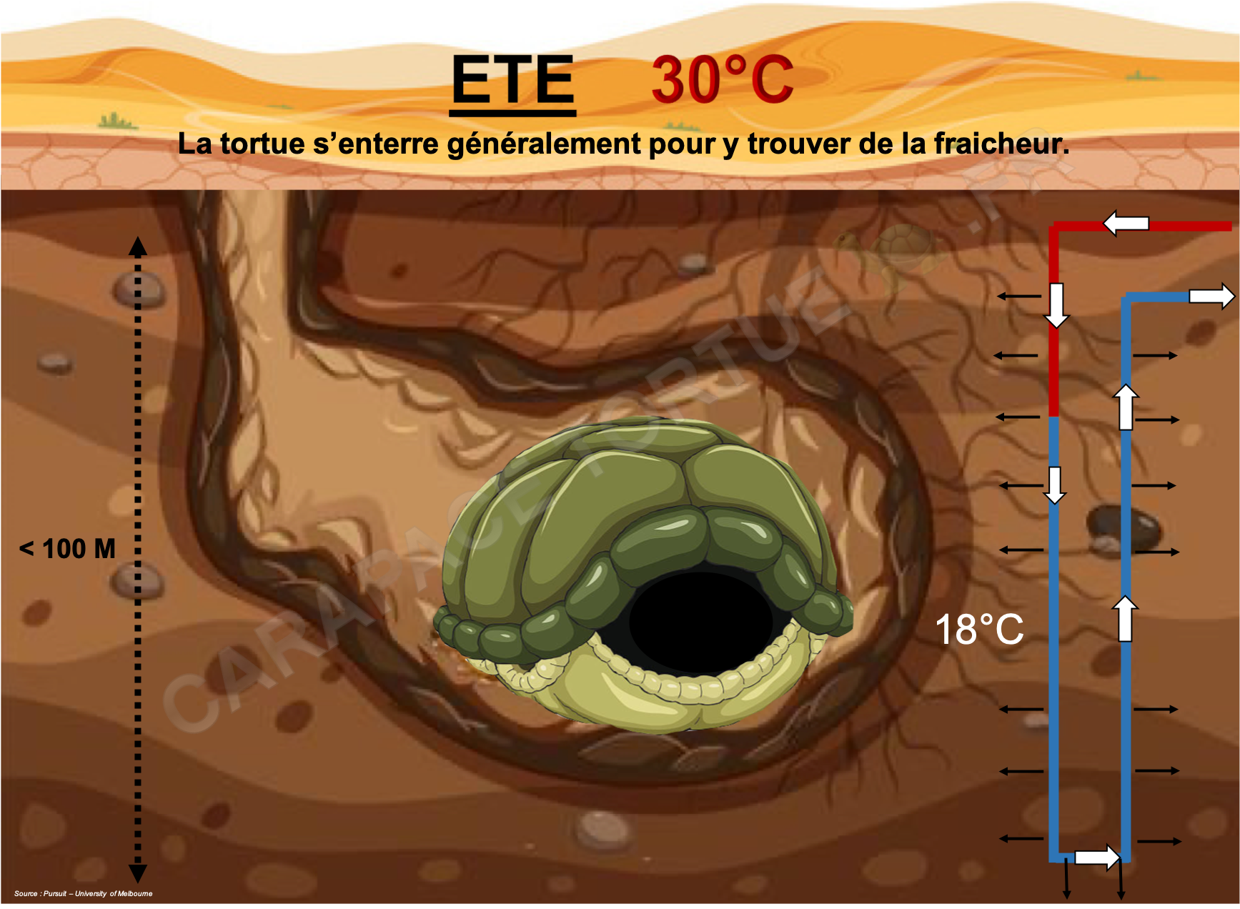 Temperature sous terre ete