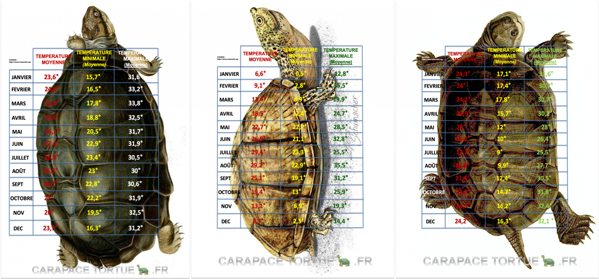 Temperatures biotopes