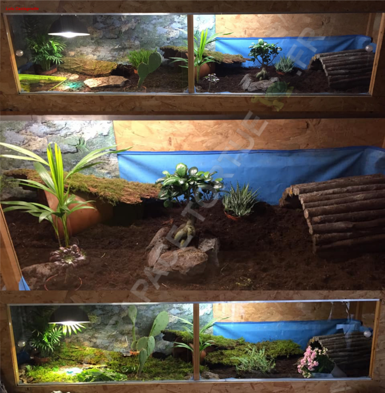 Terrarium 1