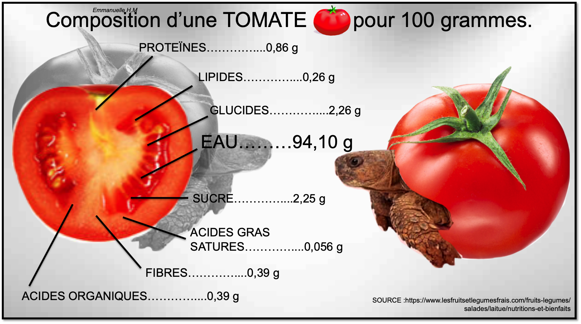 Tomate