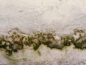 Comment-lutter-contre-la-moisissure-dans-une-chambre