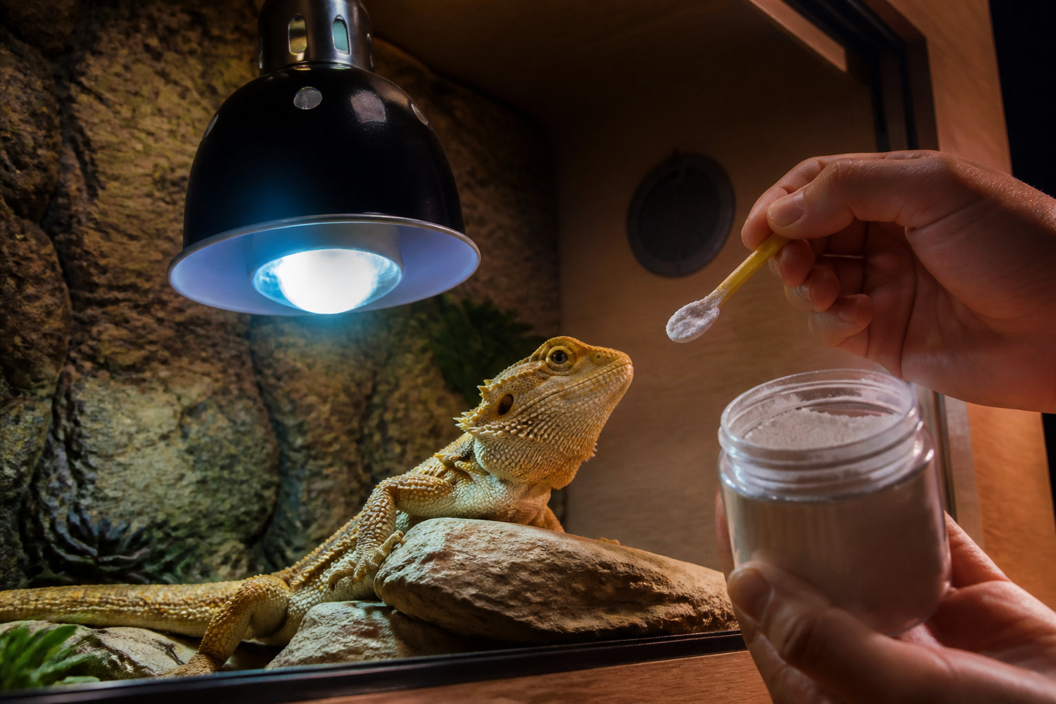 3 piliers pour une nutrition équilibrée en captivité