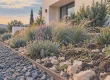 Parterre devant maison sans entretien, gravier et paillage autour de vivaces
