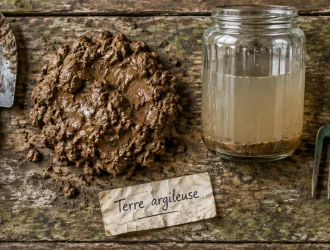 Terre argileuse potager : poignée compacte pour le potager